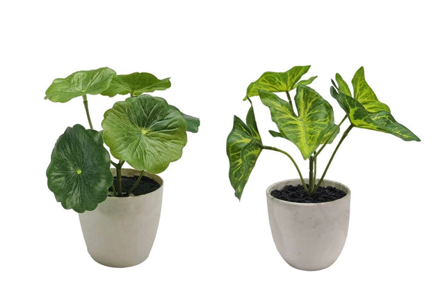 Set of 2 artificial taro and lotus plants in plastic pot 7x15cm for desk and shelf — Allure Home Collections