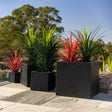 Set of four graduating matte black terrazzo square planters