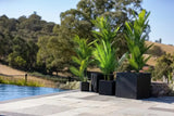 Quobba Terrazzo Concrete Planter, Black Square, Set of 4