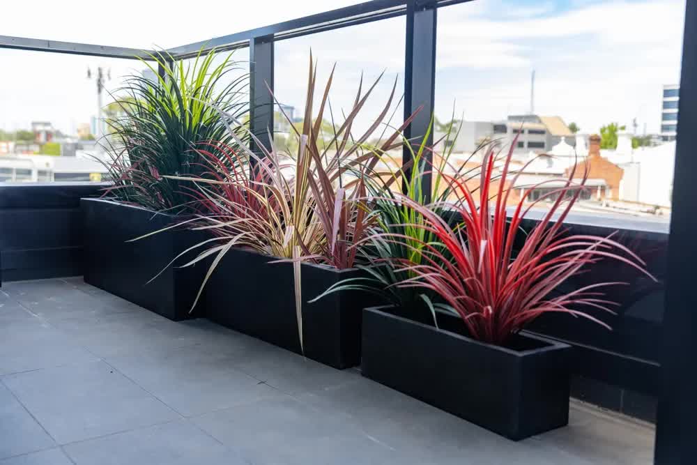Gnaraloo Terrazzo Concrete Planter, Black Rectangular, Set of 3