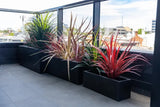 Gnaraloo Terrazzo Concrete Planter, Black Rectangular, Set of 3