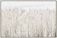 Soft pampas grass framed canvas in warm neutral tones