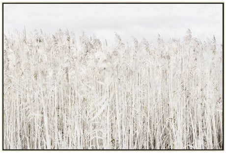 Detail view of the Pampas Grass framed canvas wall art showing canvas texture and wood frame edge