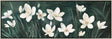 Sweeping panoramic floral framed wall art in a wide landscape format