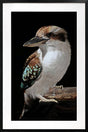 Moody bird portrait in dramatic light and shadow contrast framed behind a glass front in a PU frame