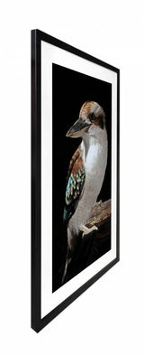 Deauville Bird Framed Print, 80 x 120cm