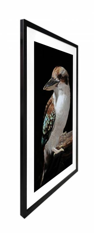 Close view of the kookaburra print detail behind the glass front