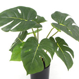 Artificial philodendron real-touch leaf close-up showing split leaf texture — Allure Home Collections
