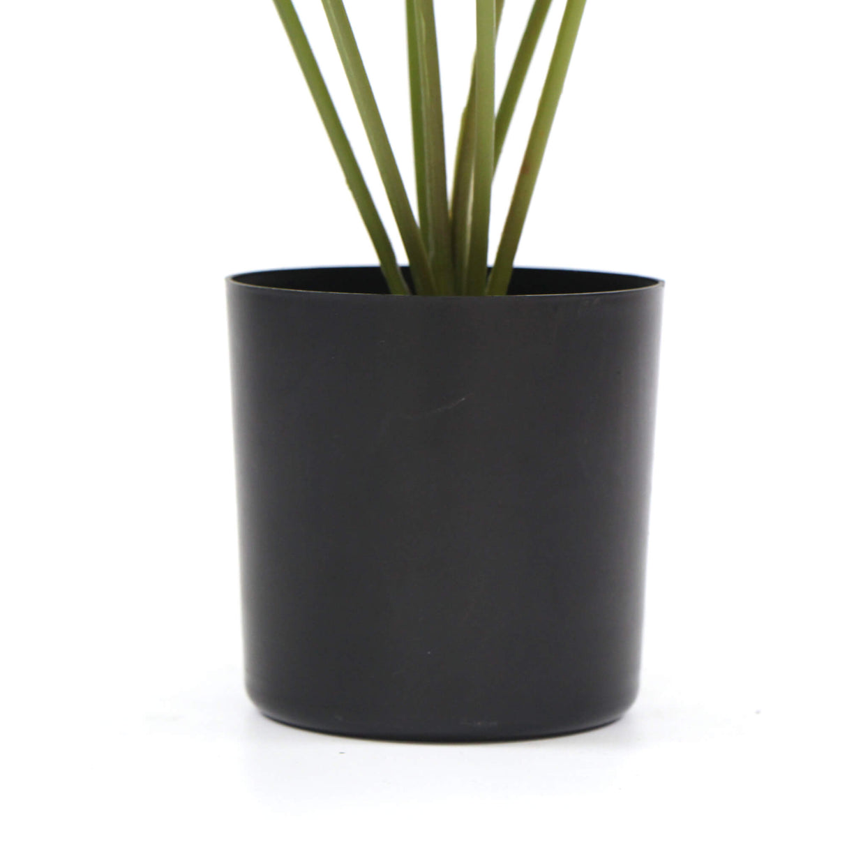 Artificial philodendron pot detail showing realistic base — Allure Home Collections