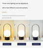 Silver Portable Rechargeable LED Lantern Lamp - Touch Control 3-Color Dimmable Desk Light