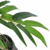 Artificial bamboo plant close-up showing realistic green culm and leaf detail — Allure Home Collections