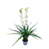 100cm Faux Artificial Home Decor Potted Cymbidium-Red/White - White