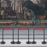 Black stanchion posts in a row