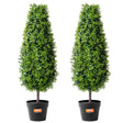 Pack of 2 artificial boxwood ball topiary trees 91cm for indoor and outdoor use — Allure Home Collections