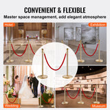 Crowd control stanchion set with red velvet rope