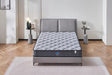 Aster Hybrid 22cm Euro Top Mattress — Independent Pocket Spring, Balanced Comfort — Allure Home Collections