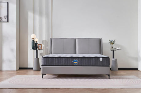 Aster Hybrid 22cm Euro Top Mattress — Independent Pocket Spring, Balanced Comfort — Allure Home Collections