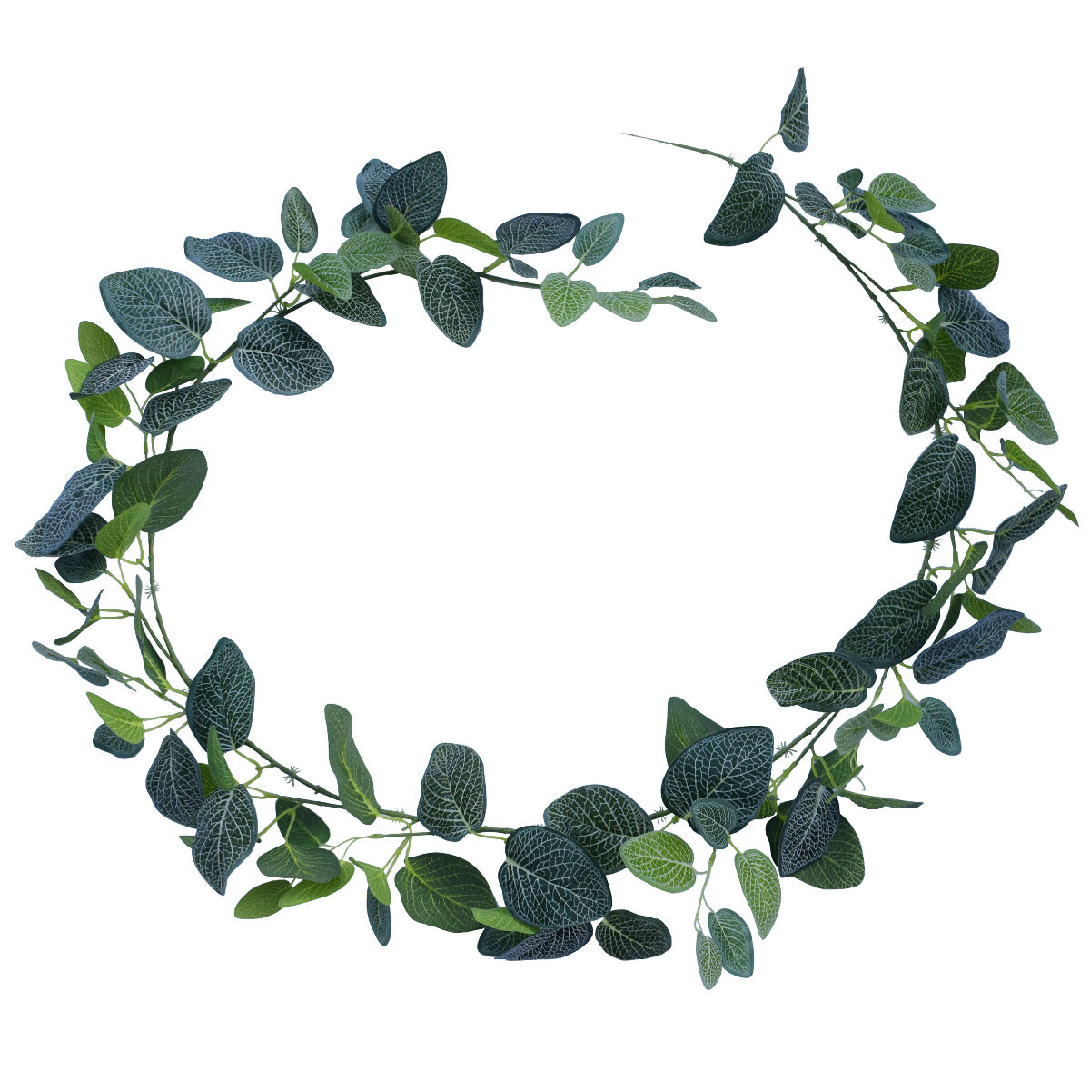 Artificial fittonia garland 190cm with mixed coloured and sized leaves for home decor — Allure Home Collections