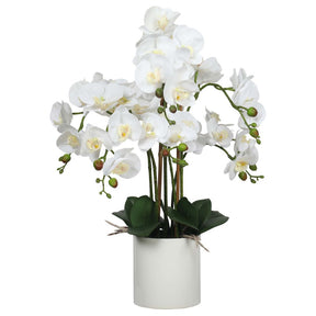 Amed large artificial white orchid potted plant 65cm multi stem on a sideboard
