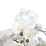White artificial orchid close-up showing detailed bloom and petal texture — Allure Home Collections
