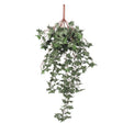 Hanging artificial English ivy bush 80cm UV resistant with trailing green foliage — Allure Home Collections