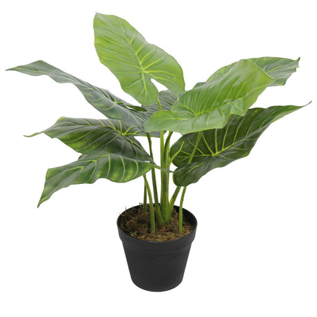 Artificial potted taro elephant ear plant 55cm with large lifelike green leaves — Allure Home Collections