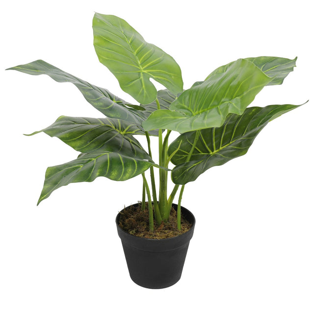 Artificial potted taro elephant ear plant 55cm with large lifelike green leaves — Allure Home Collections